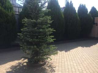 Апарт-отели Apart Hotel Винница Стандартный четырехместный номер-64